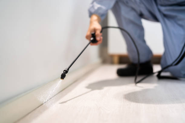 Certified termite inspector examining foundation in Atkinson